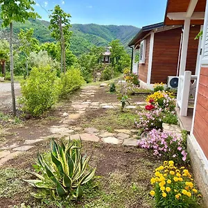 Baven -toven Naturae Vakantieboerderij